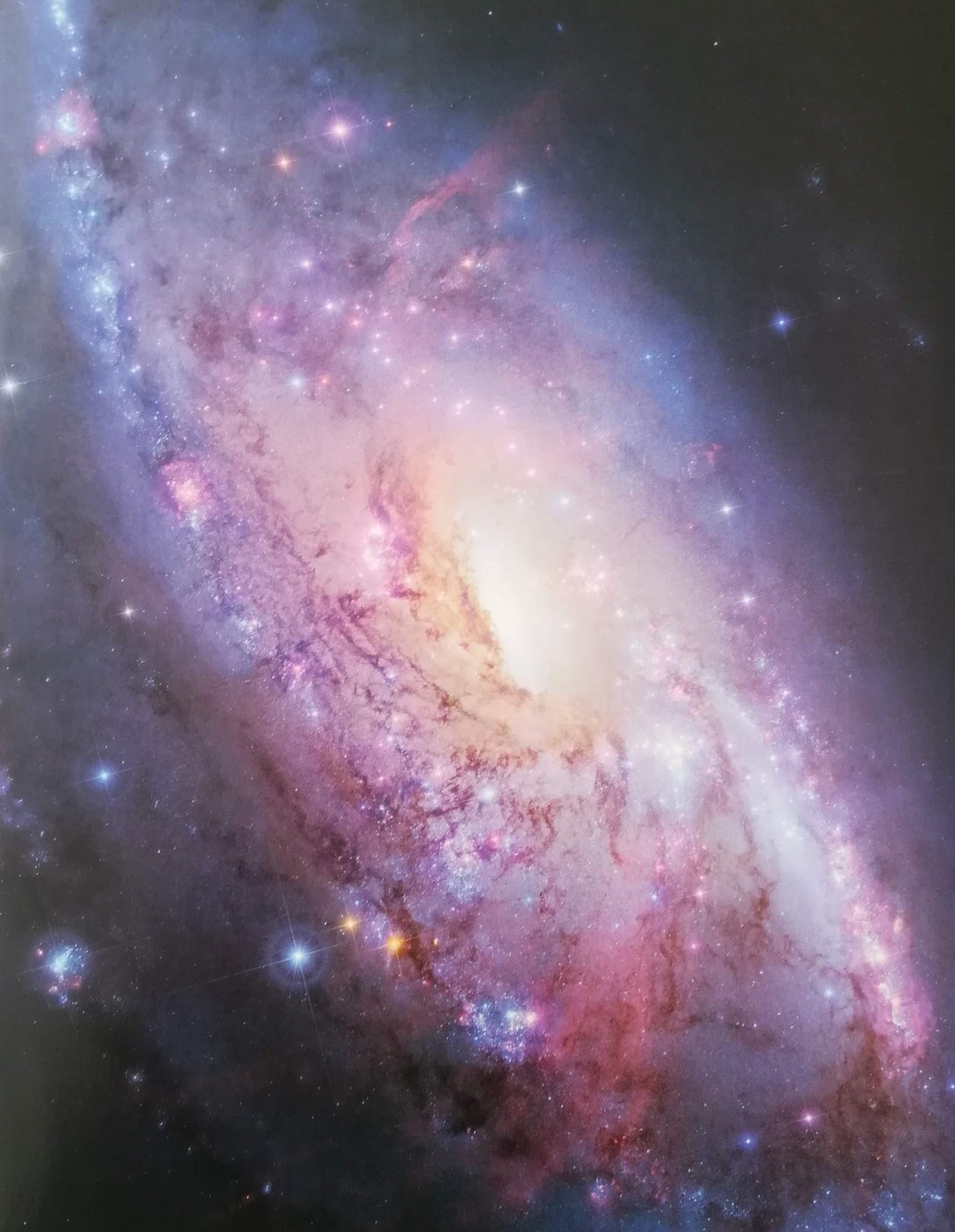 Conoscere gli straordinari corpi celesti del cosmo - N.° 14