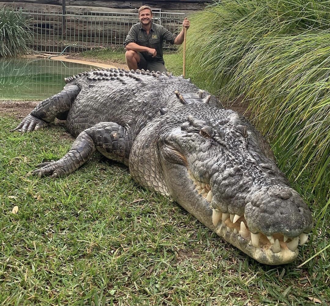 Un selfie con un coccodrillo gigante