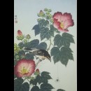 uccello acchiappamosche che guarda un ragno su un ibisco in fiore
