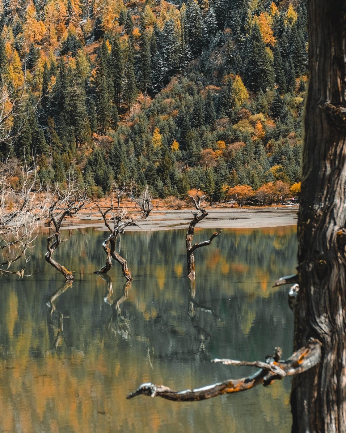 I colori della montagna - N.° 6