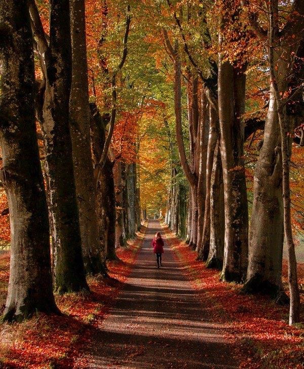questa varietà di colori autunnali rende il sentiero superbo