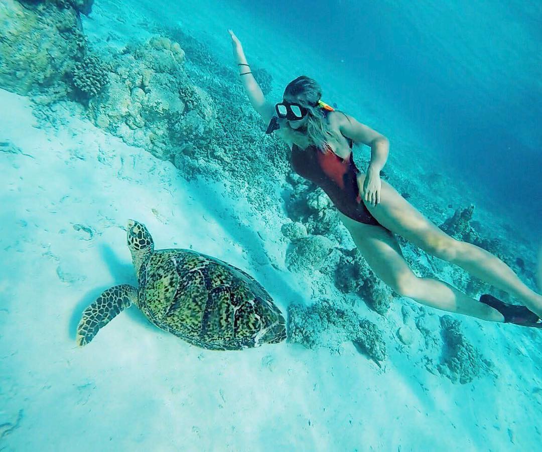 underwater speed race. The turtle plays at home