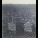 Tombe dove riposano Vincent e Theo van Gogh ad Auvers