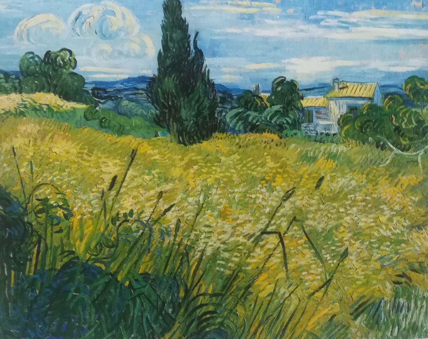 Vincent van Gogh - Campo verde di grano, 1889