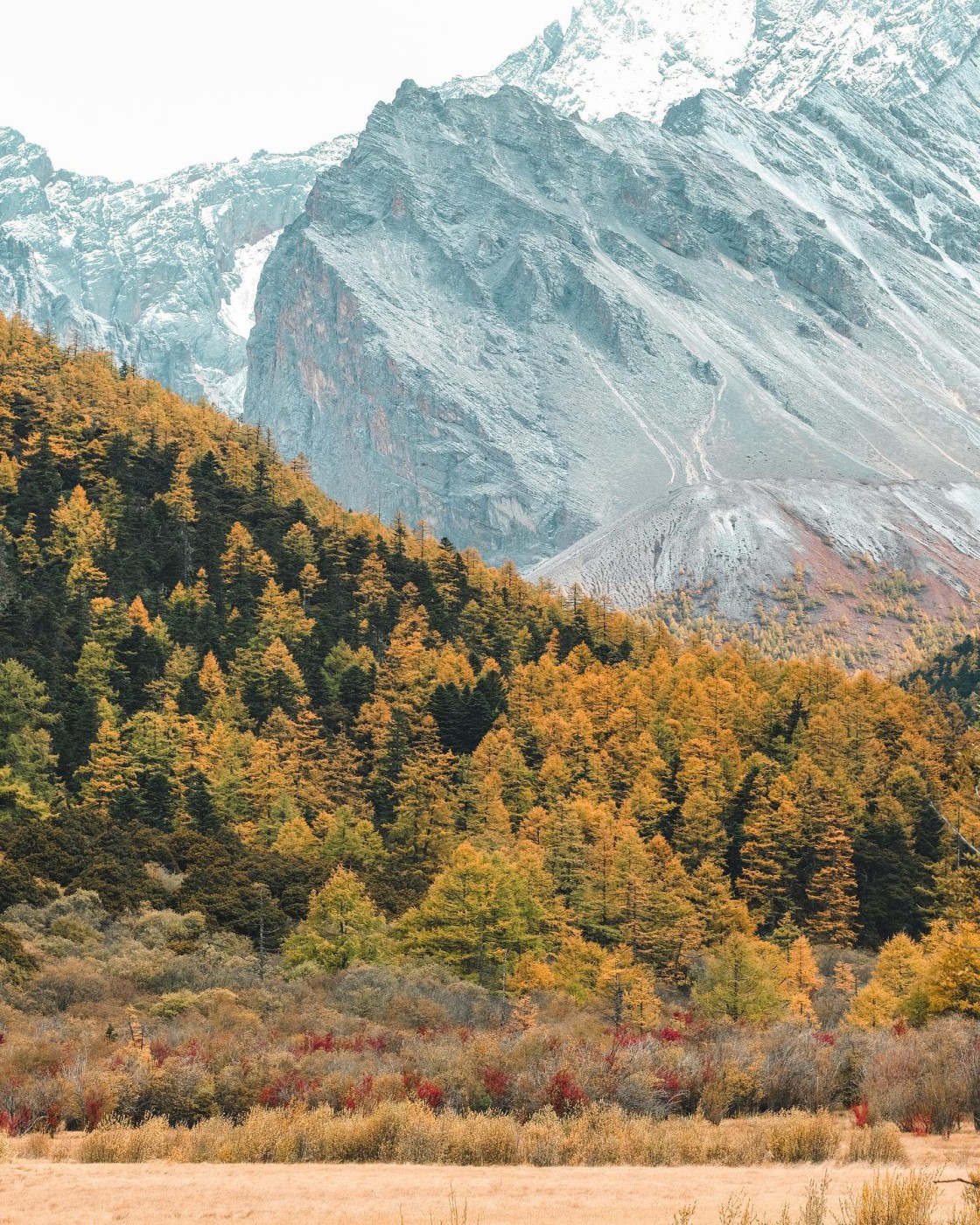 I colori della montagna - N.° 5