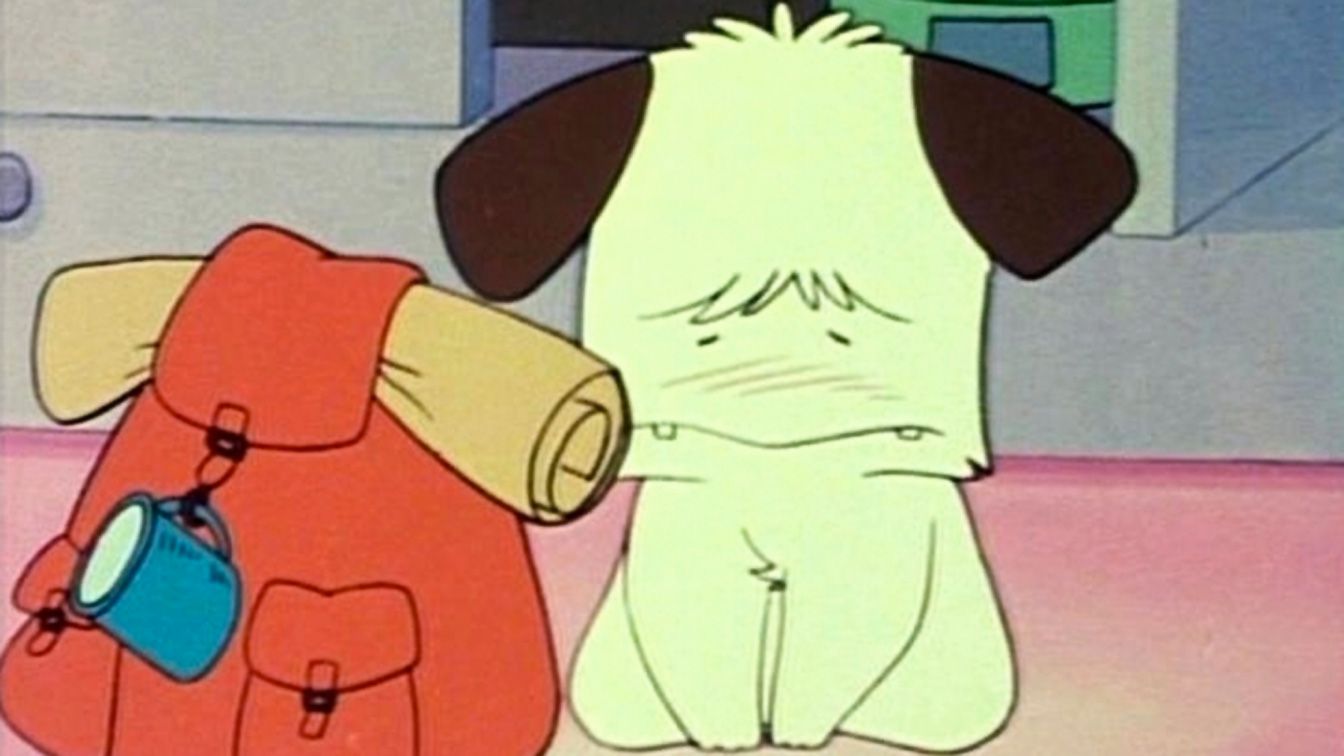 hello spank, il cane combina guai