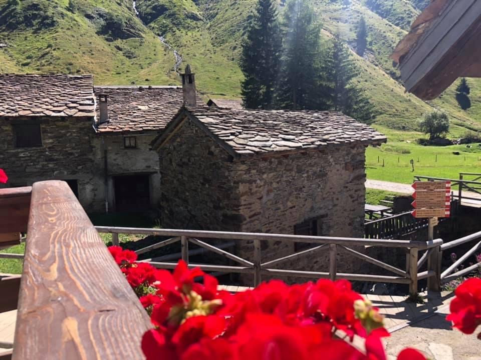 Lo spettacolo della natura - N.° 21