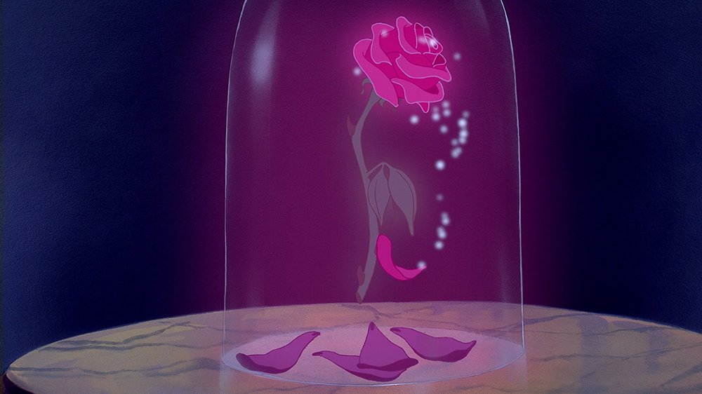 la rosa sembra accendersi e illumina di una luce intensa la stanza