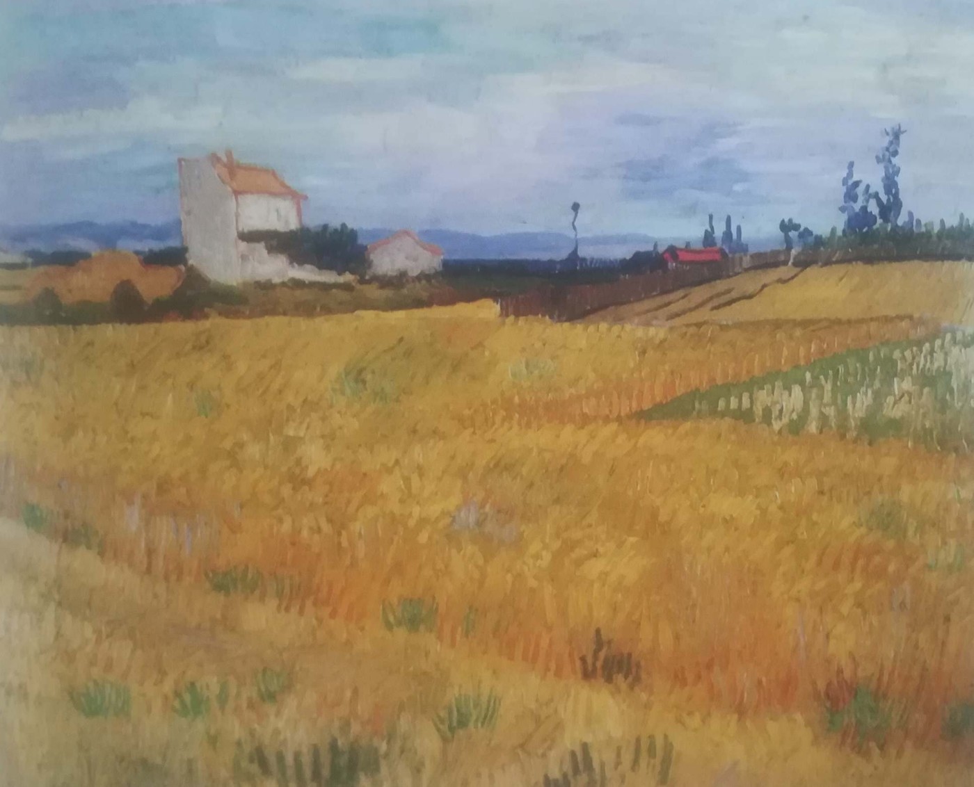 Campo di grano - Vincent Van Gogh. Giugno 1888, Arles