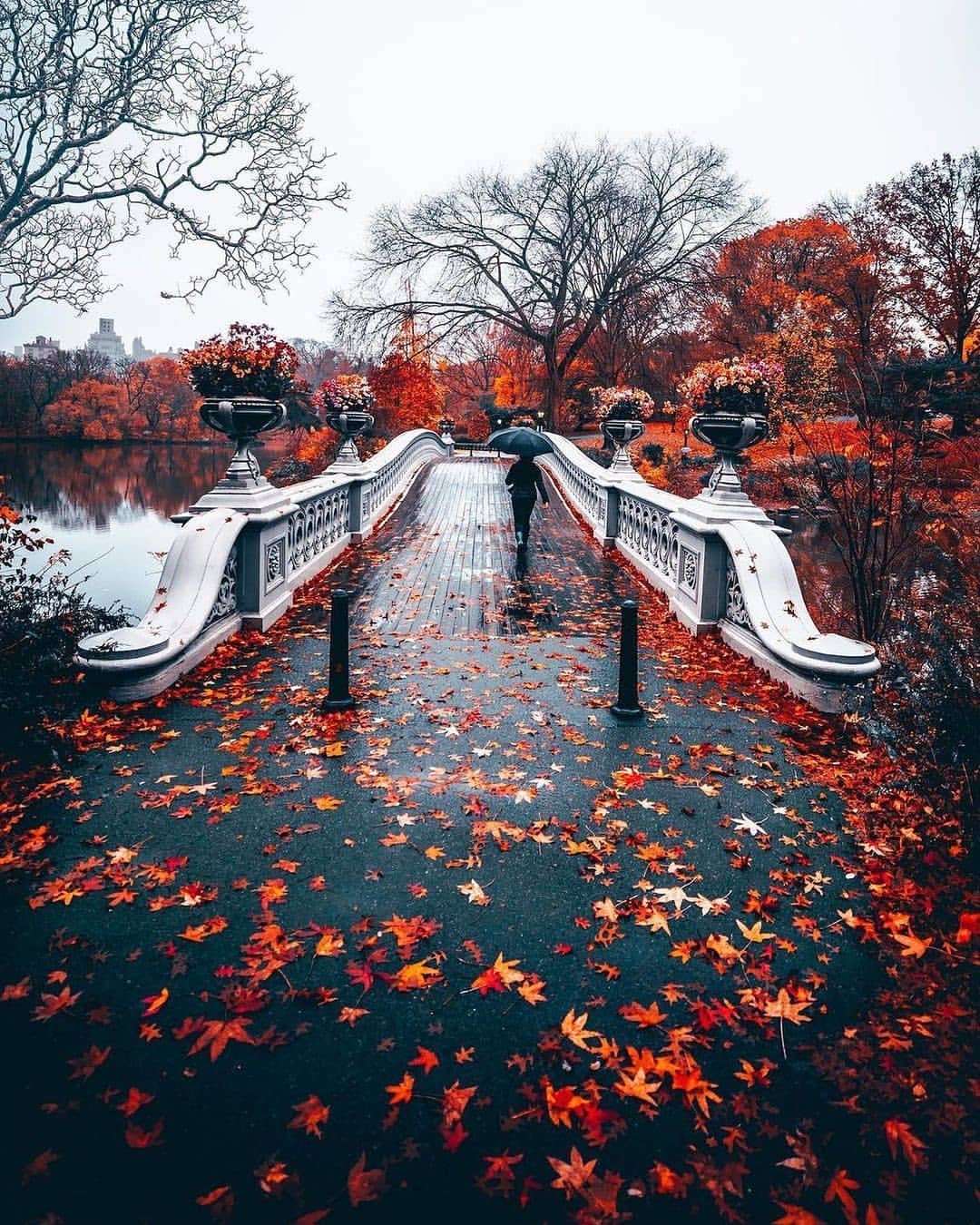 in autumn, crossing this bridge is pure poetry
