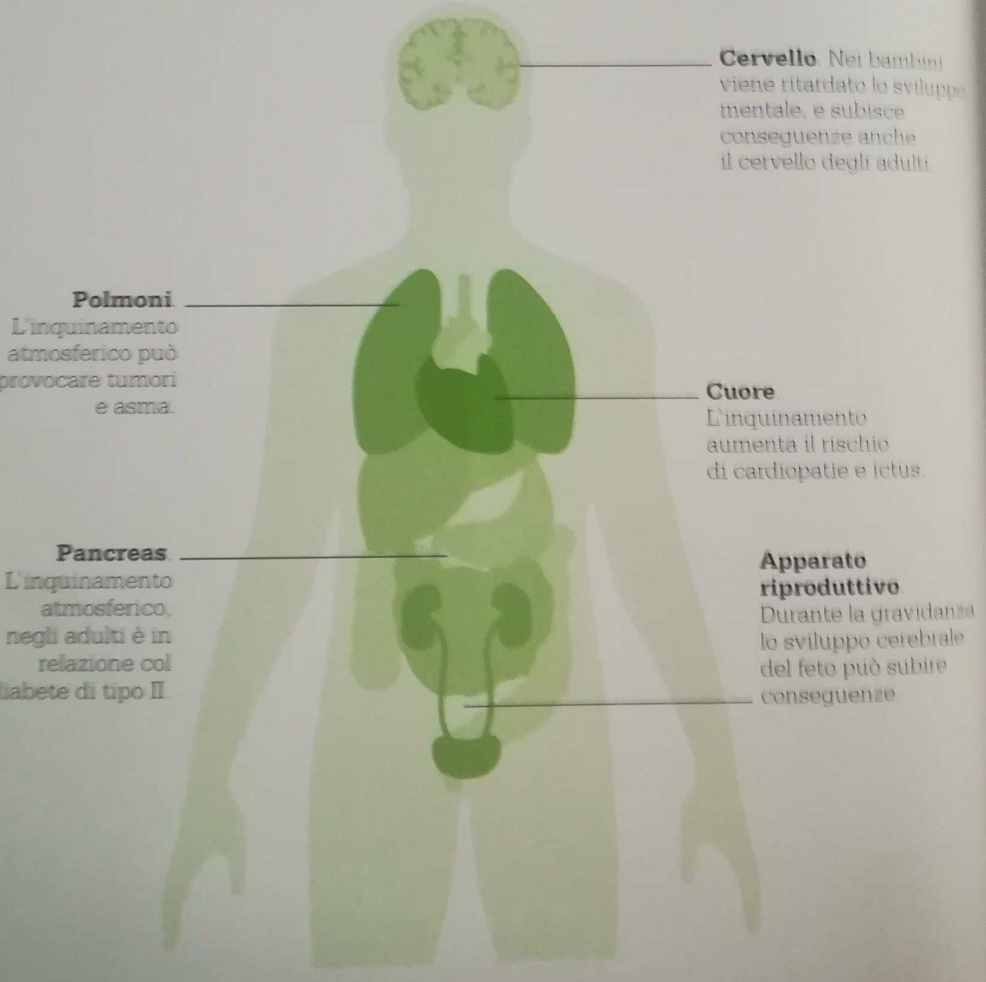 Effetti dell’inquinamento sulla salute