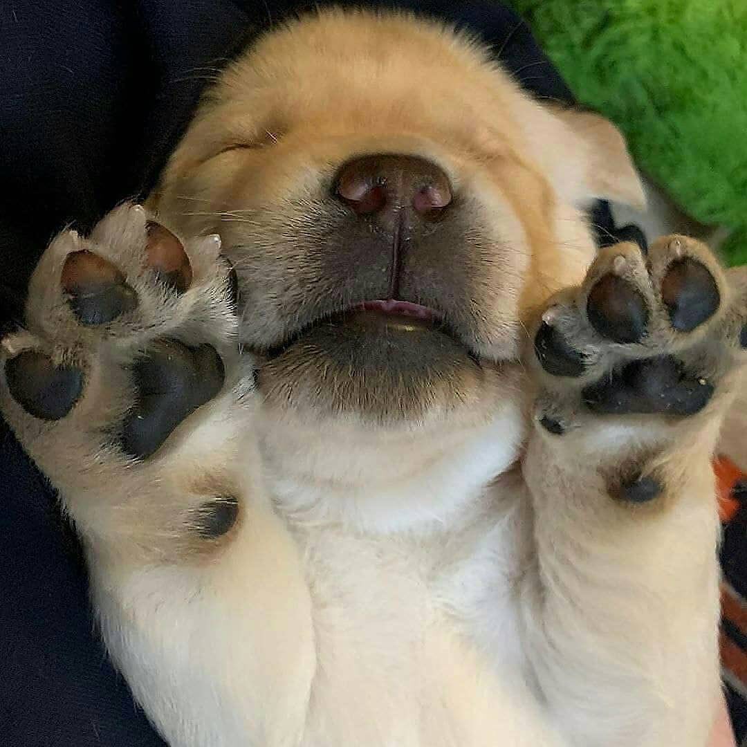 quando si è stanchi, ogni posizione è buona per dormire