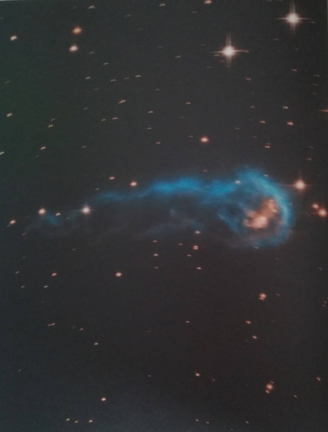 Protostella che sta raccogliendo materiale dal gas circostante 