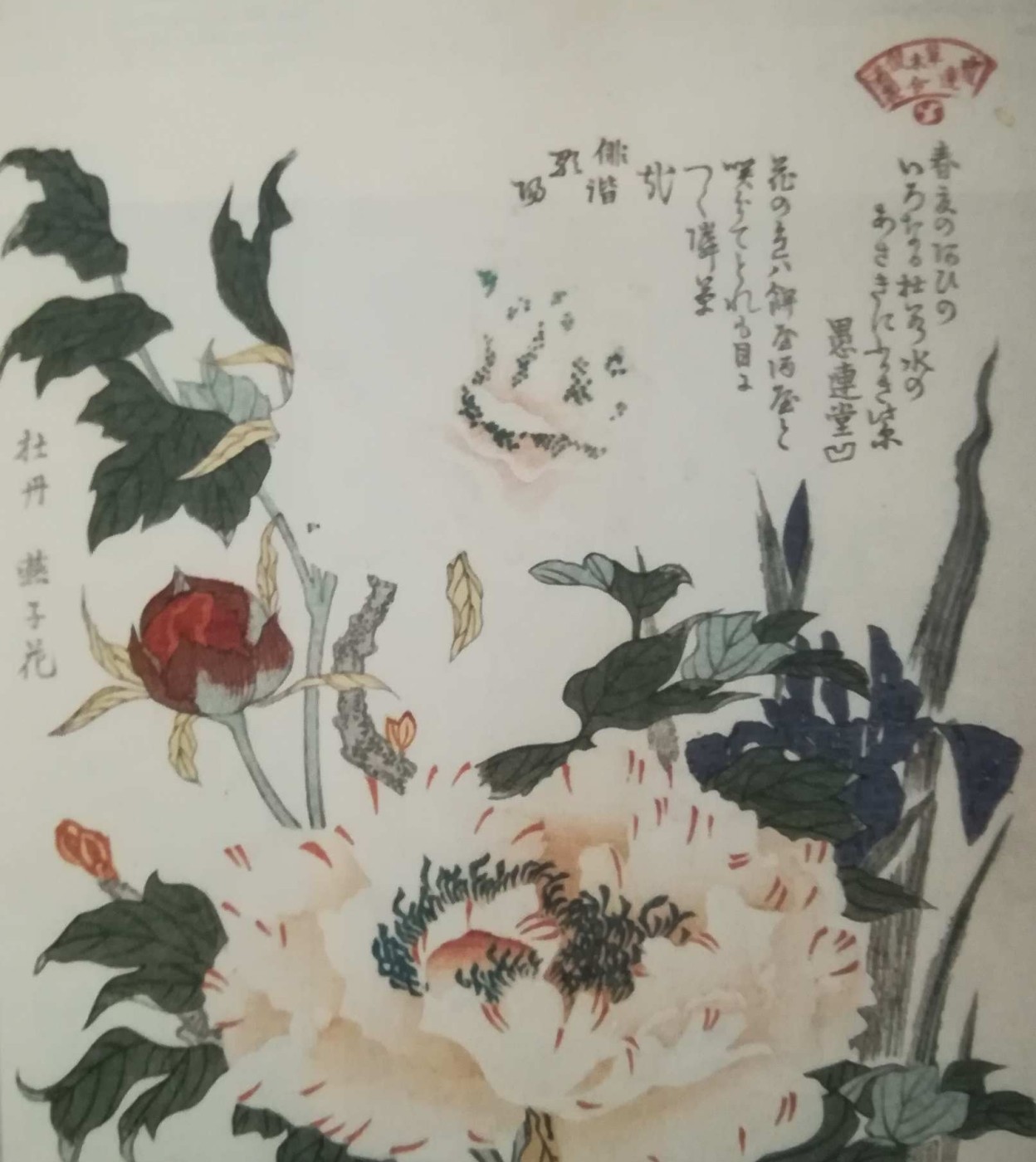 Kubo Shunman, tratto dalla serie "Raccolta di fiori e alberi"
