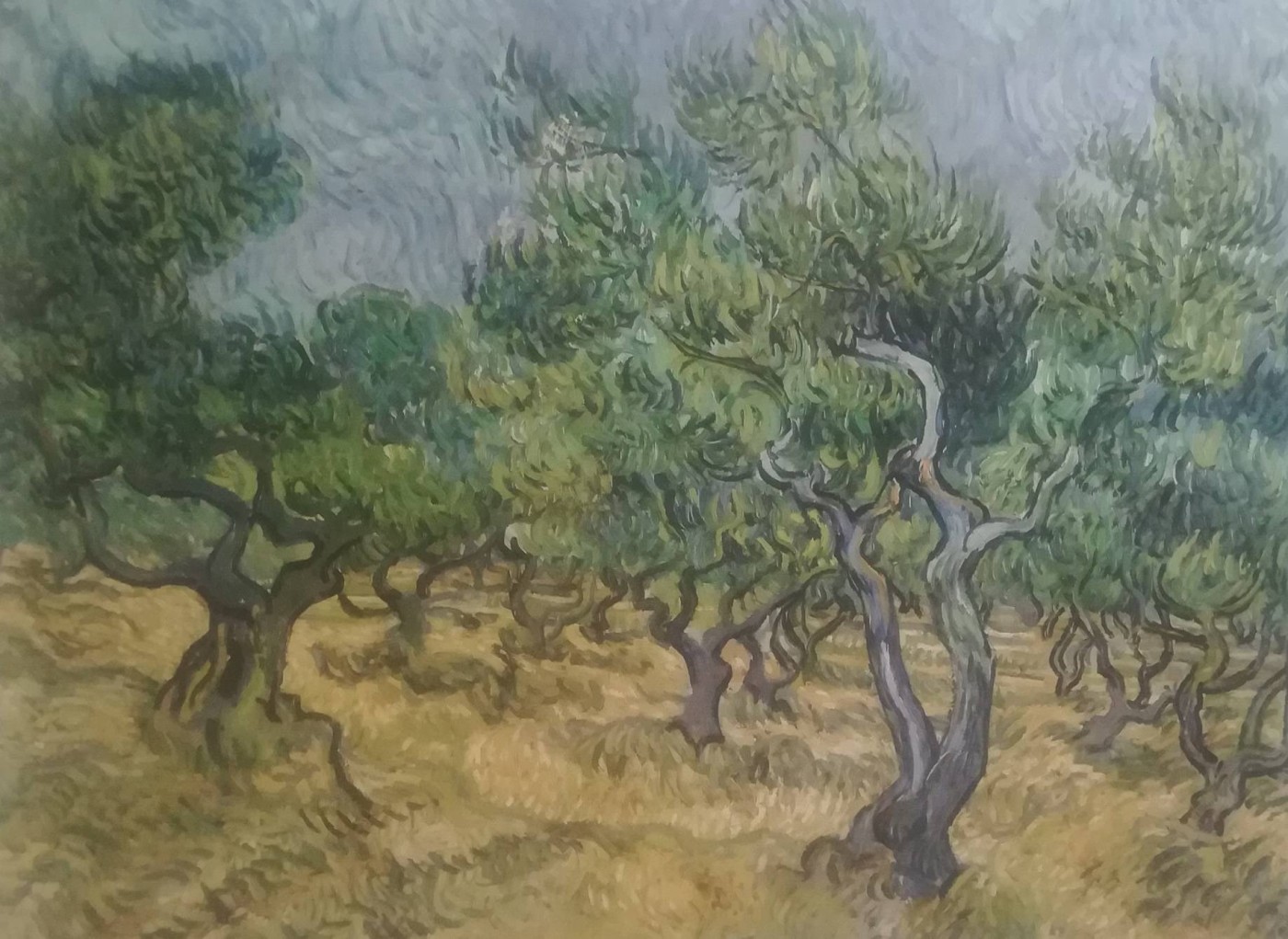 L’oliveto - Van Gogh; giugno 1889, Saint-Rémy