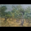 L’oliveto - Van Gogh; giugno 1889, Saint-Rémy