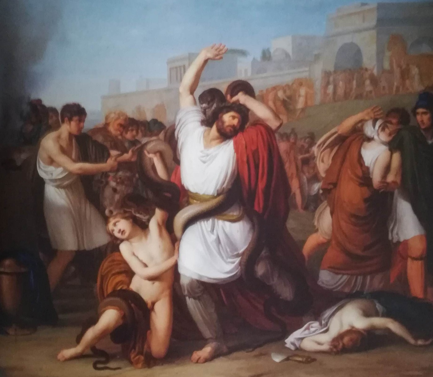 Laocoonte figlio di Priamo e sacerdote di Apollo