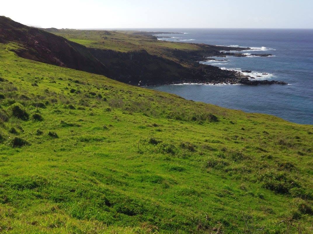 Rapa Nui oltre le statue: vulcani, coste, paesaggi e cultura dell’Isola di Pasqua - N.° 22