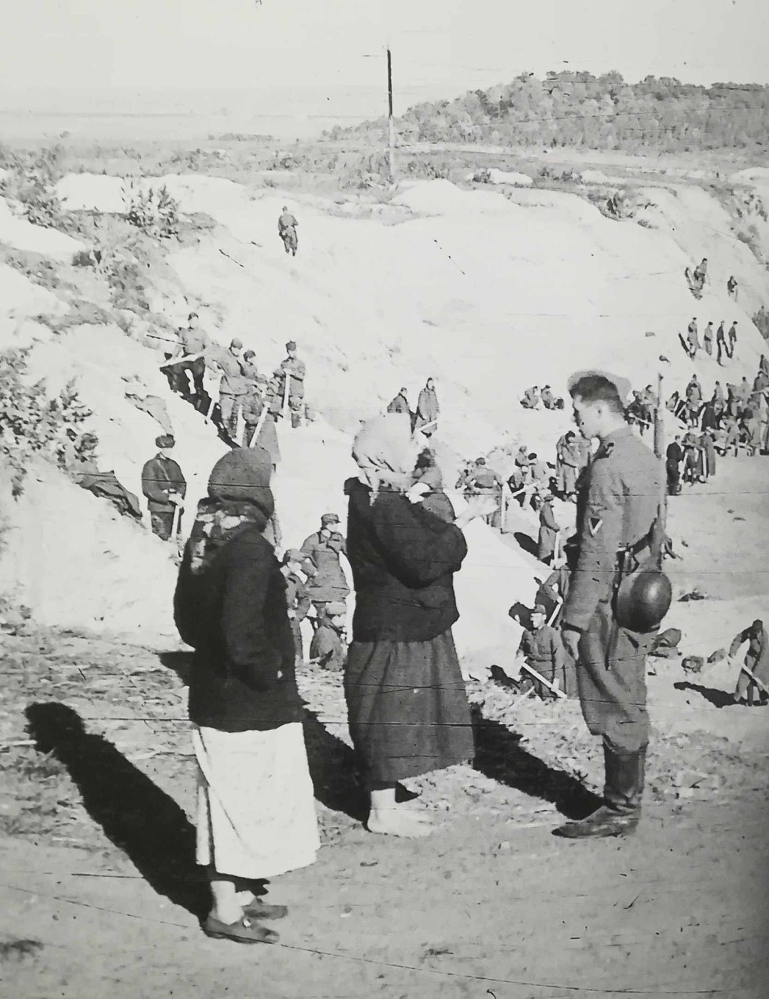 foto scattata dopo il massacro, inizio ottobre 1941,quando vi furono piantati degli alberi per nascondere il crimine