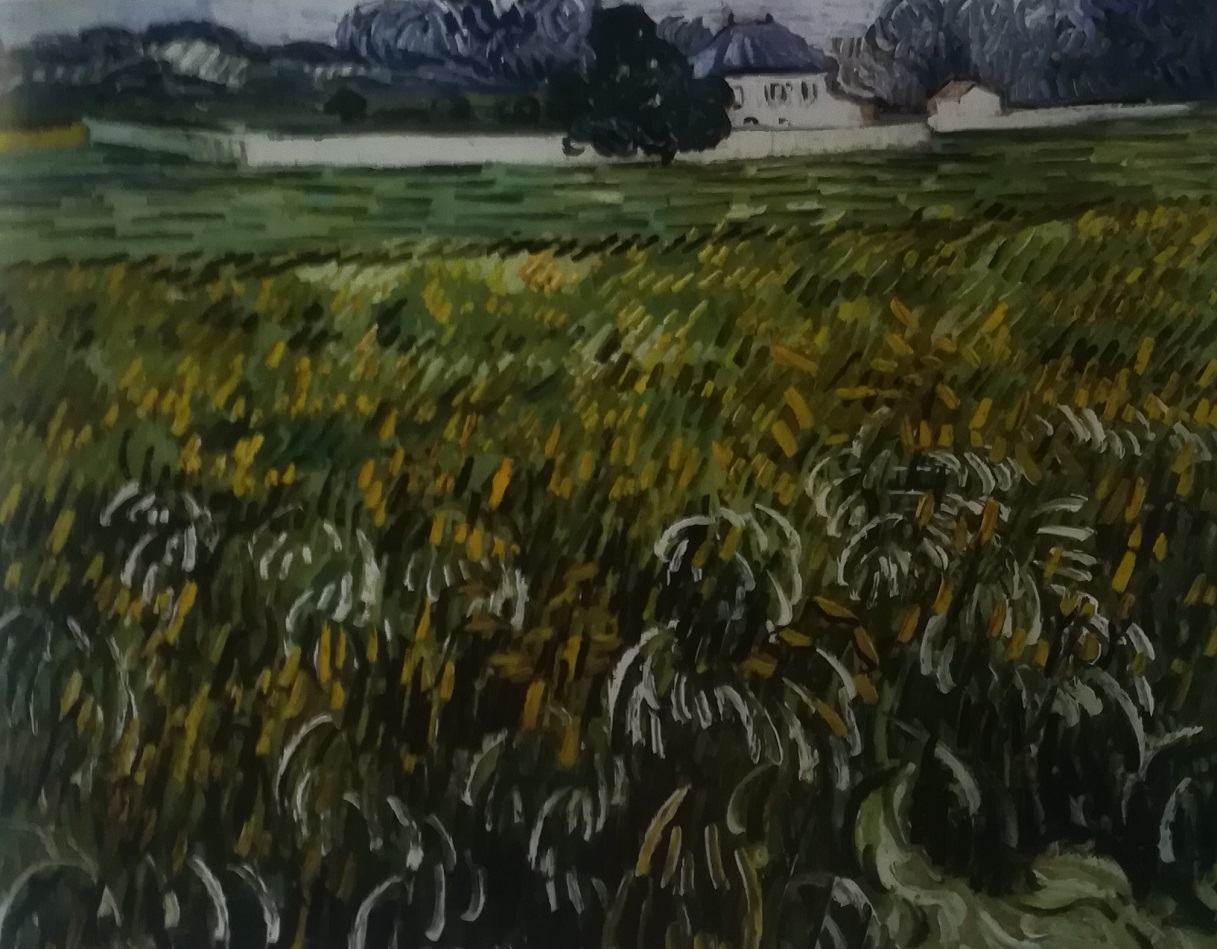 casa ad Auvers - Vincent Van Gogh
