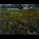casa ad Auvers - Vincent Van Gogh