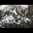Cavalli impazziti. L’orrore della guerra attraverso la street art di Banksy
