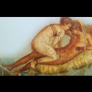 Come vivevano i Romani l’amore e il sesso