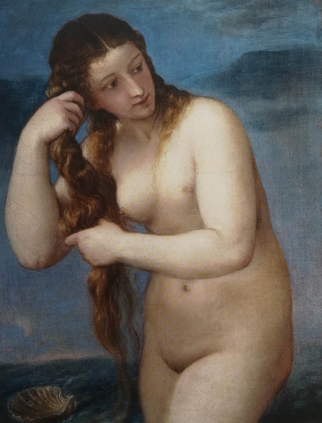 Venere Anadiomene - Tiziano Vecellio