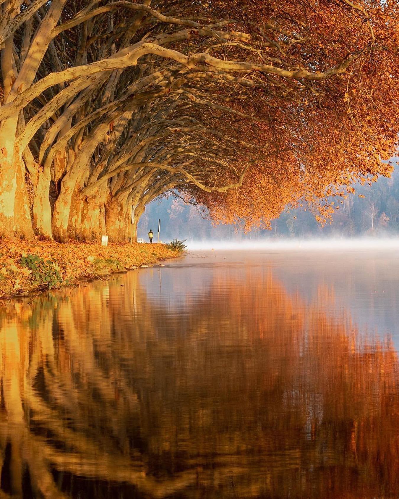 Il riflesso degli alberi sull’acqua e la magia dei colori 