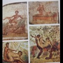 fellatio, cunnilingus, coiti nella posizione del missionario. Decorazioni parietali di Pompei