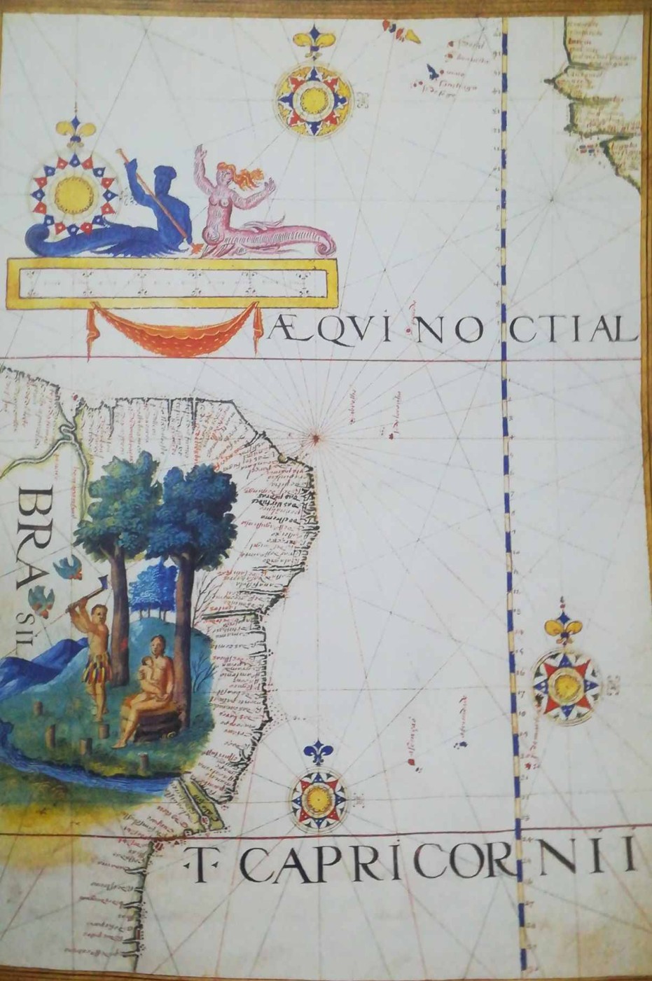 mappa portoghese del Brasile - mostra una famiglia di indigeni, uno dei quali sta raccogliendo il legno brasiliano, 1565