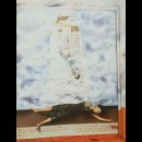 il suicidio di Dorothy Hale - Frida Kahlo