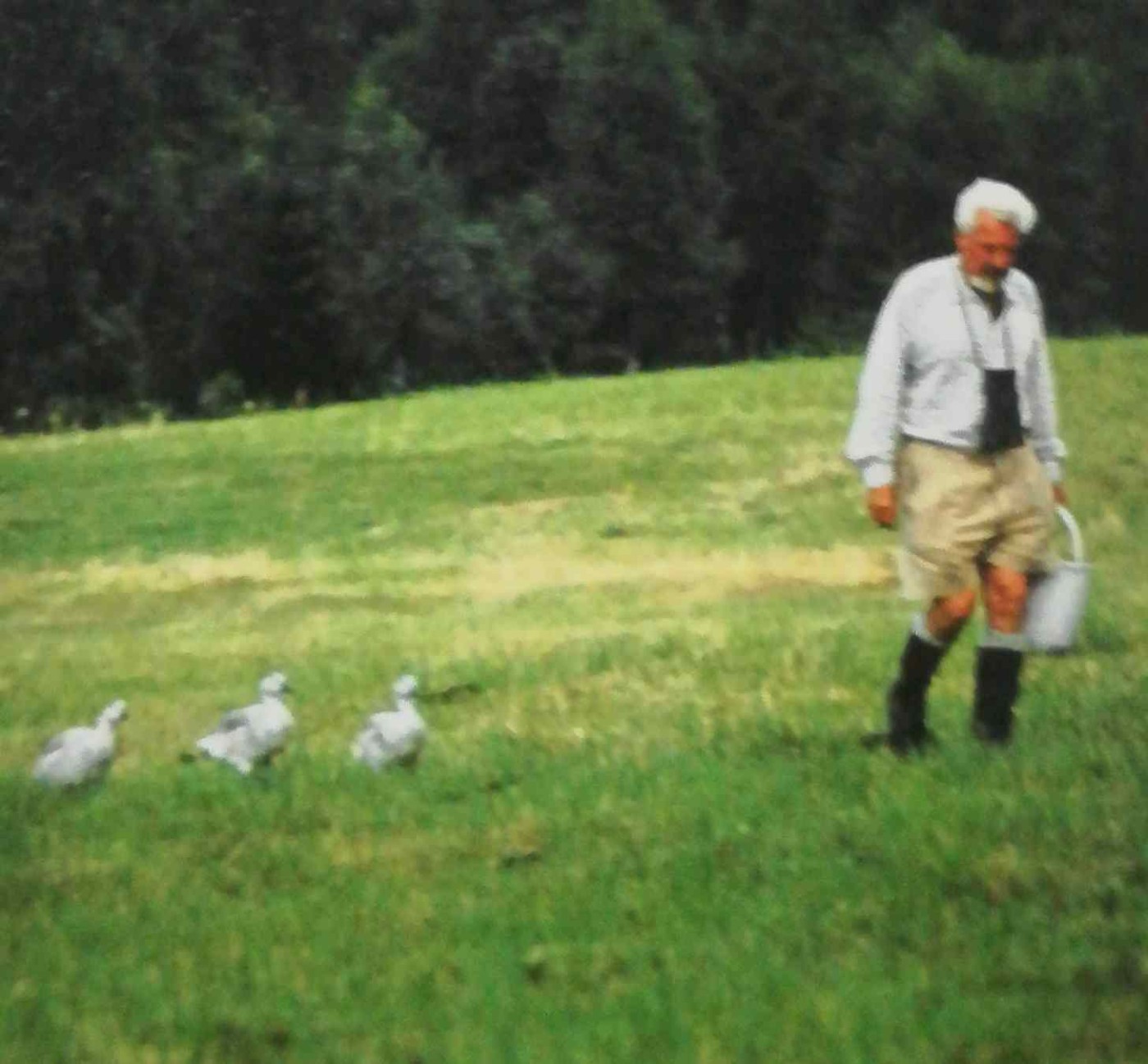 L’imprinting non si dimentica - Konrad Lorenz 