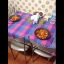 pasta al forno in tavola, si mangia