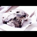 la ragionevole certezza che Hitler non si è suicidato