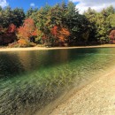 cosa può regalarci la natura se impariamo a rispettarla
