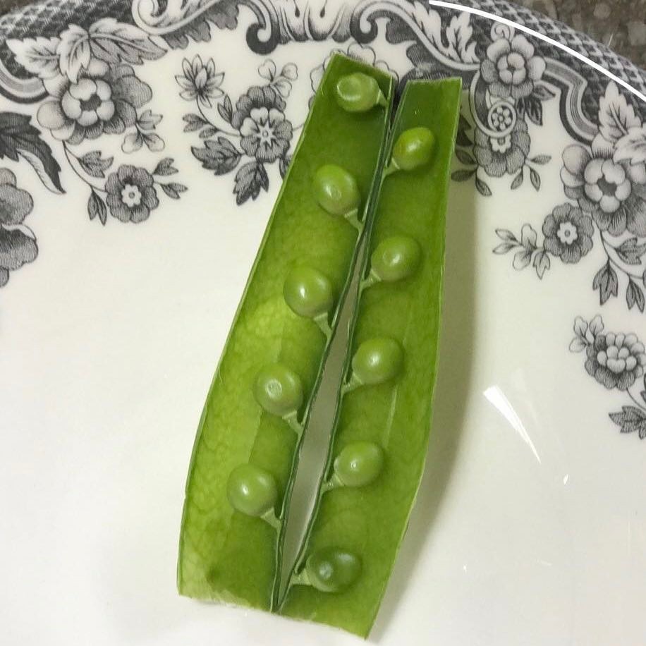 i verdi bacelli di piselli pronti