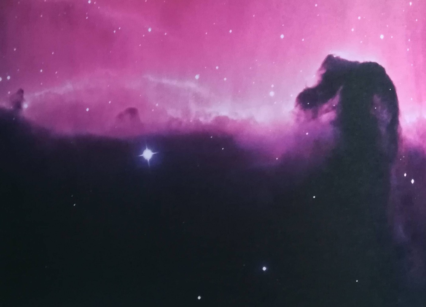 Nebulosa detta testa di Cavallo