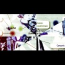 Purgatorio, canto 6: parafrasi e analisi