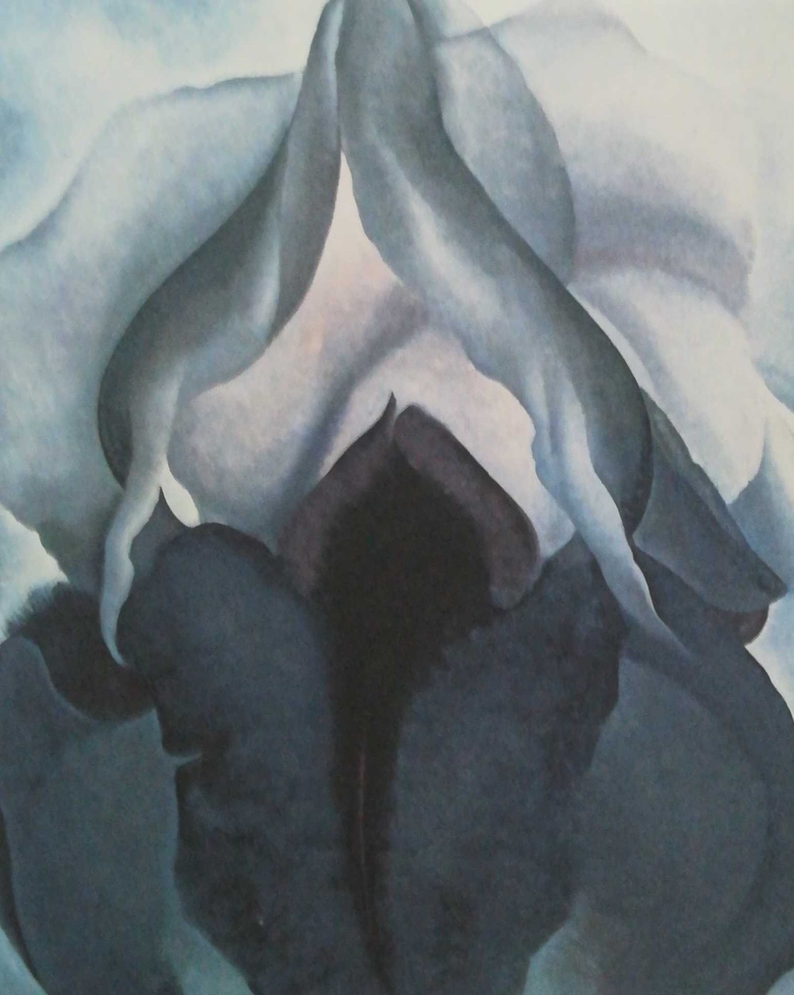 Iris nero - Georgia O’Keeffe, olio su tela - 1926 