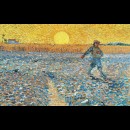 Seminatore al tramonto - Van Gogh