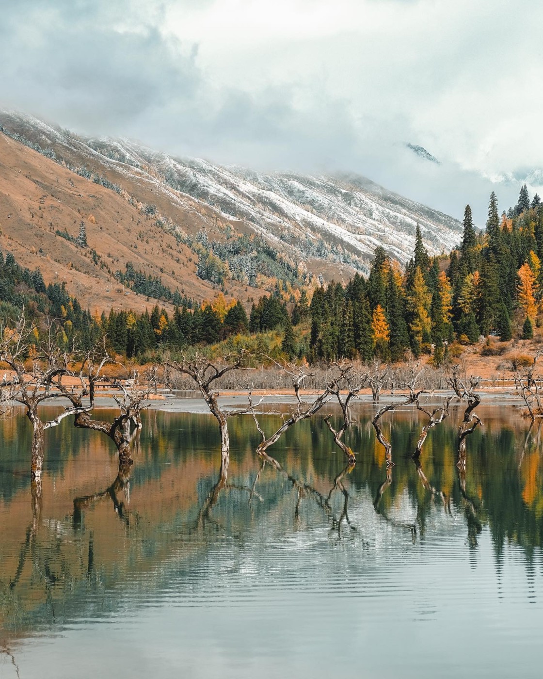 I colori della montagna - N.° 7