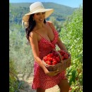 Laura Torrisi nella raccolta di pomodori