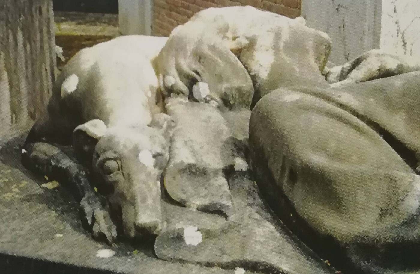 scultura di una donna con cane al cimitero del Verano