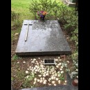 tomba di Nino Manfredi