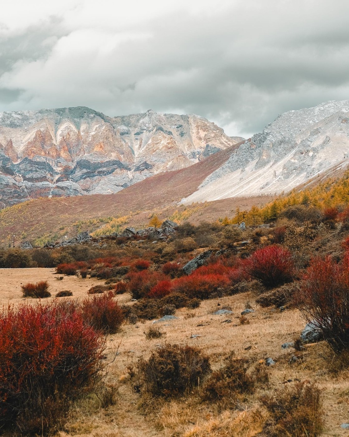 I colori della montagna - N.° 8