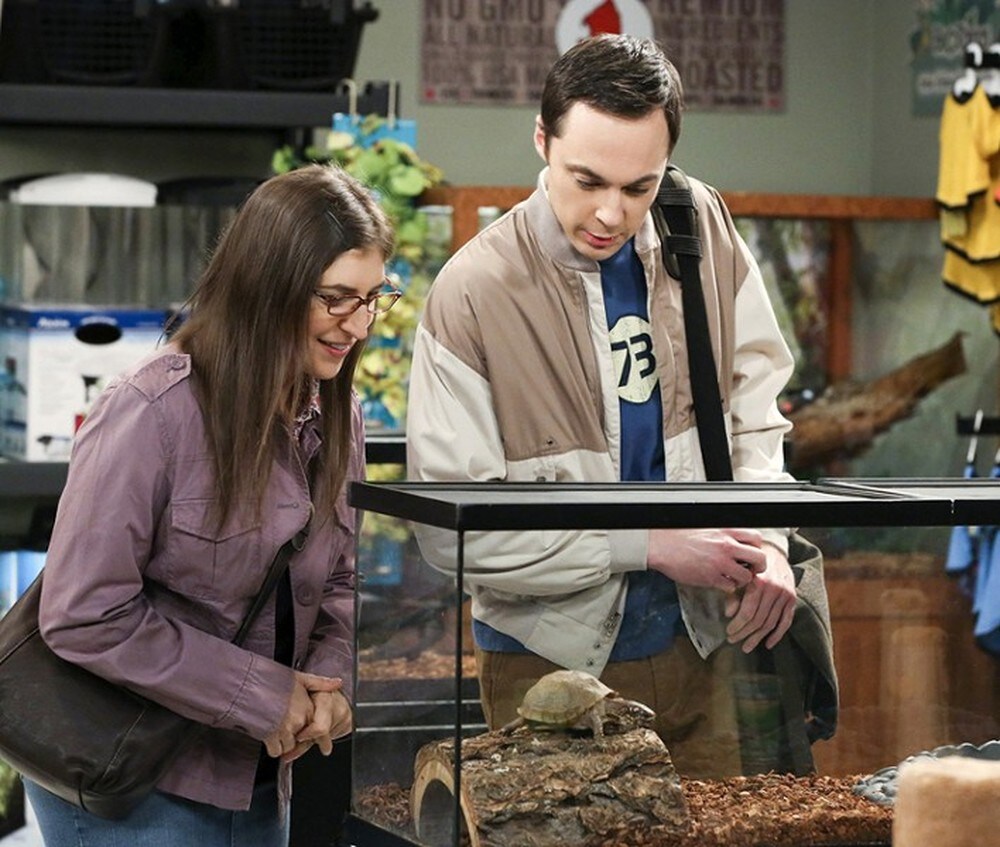 Amy e Sheldon hanno deciso di fare un passo importante