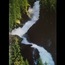 Le cascate del Krimml fiancheggiate dalla foresta